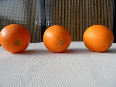 Sunny fruit market spain photo