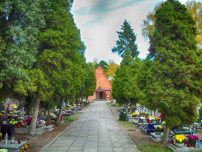 Graves flowers hdr
