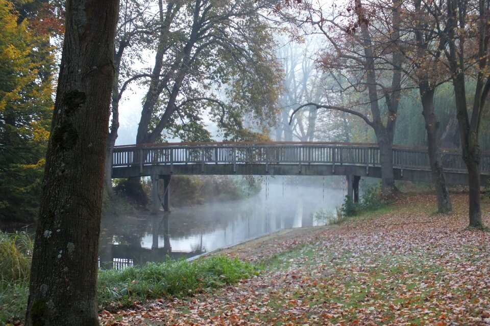 Fog morgenstimmung river