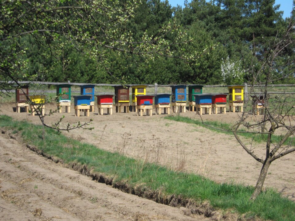 Ule honey village