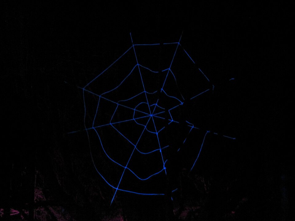Cobweb grugapark parking lights