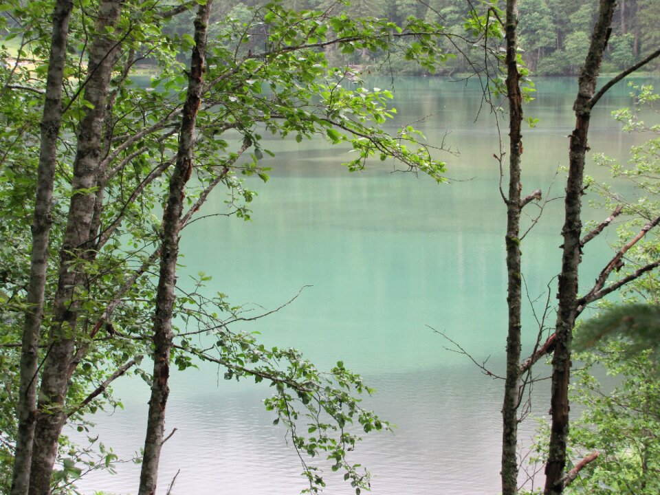 Hunter lake blue forest
