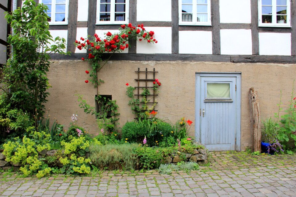 Fachwerkhaus flowers roses