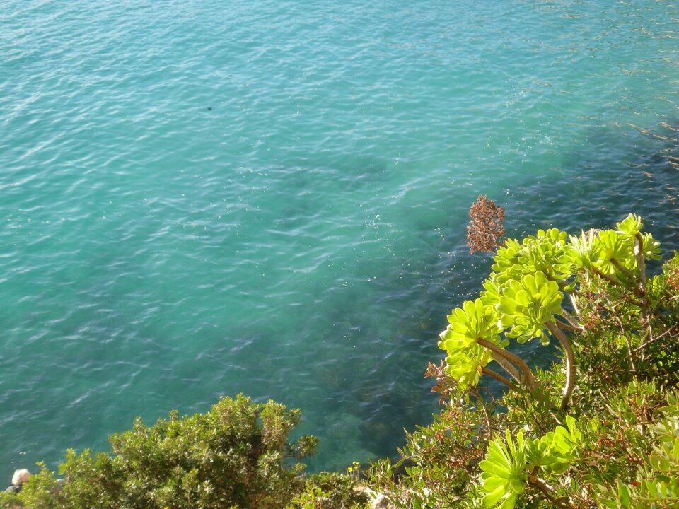 Water mood turquoise