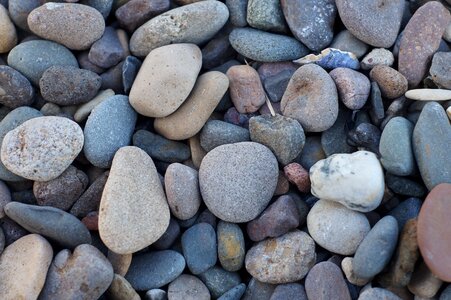 Shore rock pebble photo
