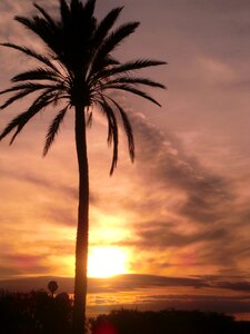Sunset mood silhouette