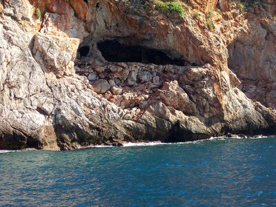 Sea turkey travel