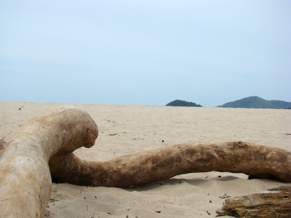 Sand trunk flying