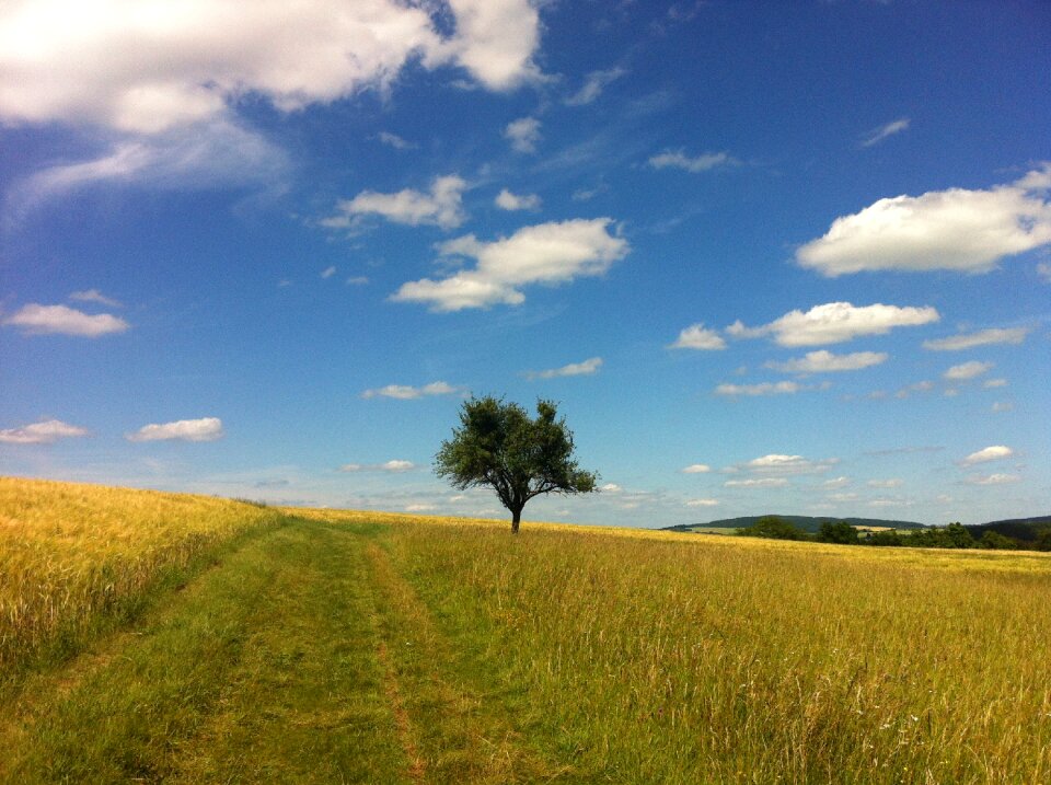 Trail field middle rhine