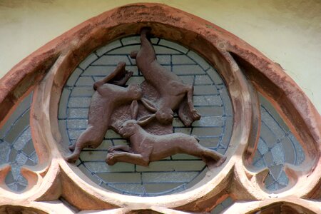 Hare hare window paderborn