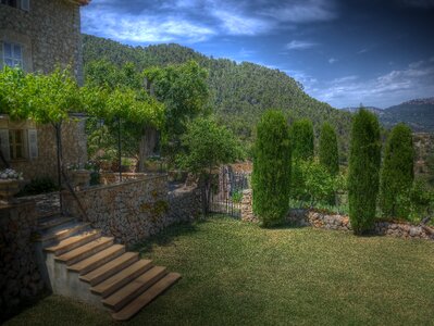 Mallorca finca palm