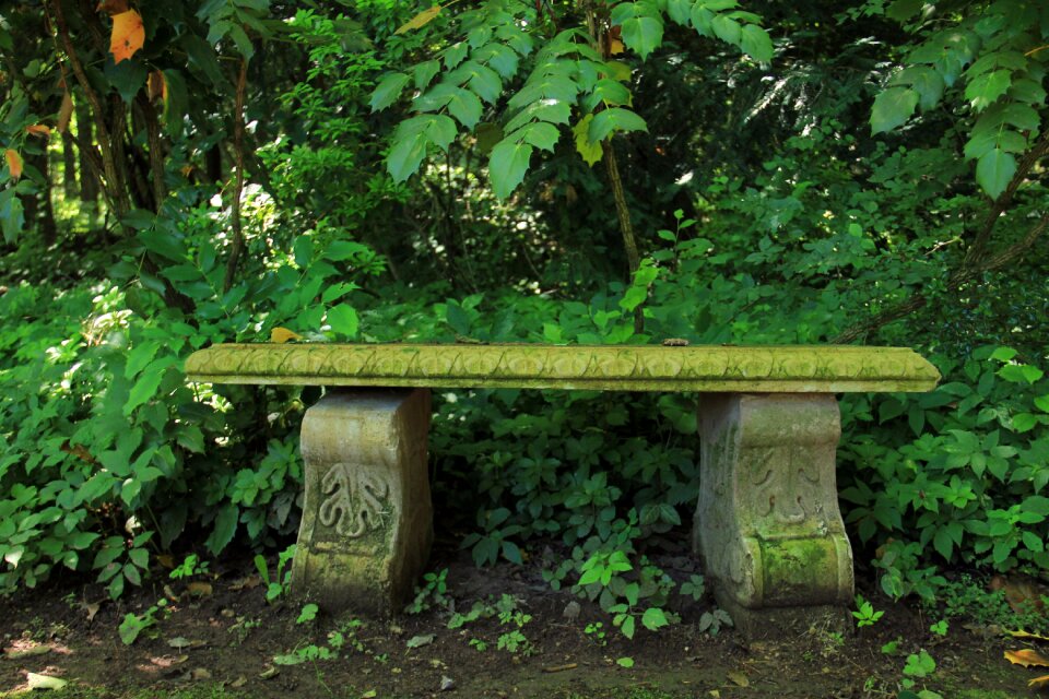 Nature rest recovery