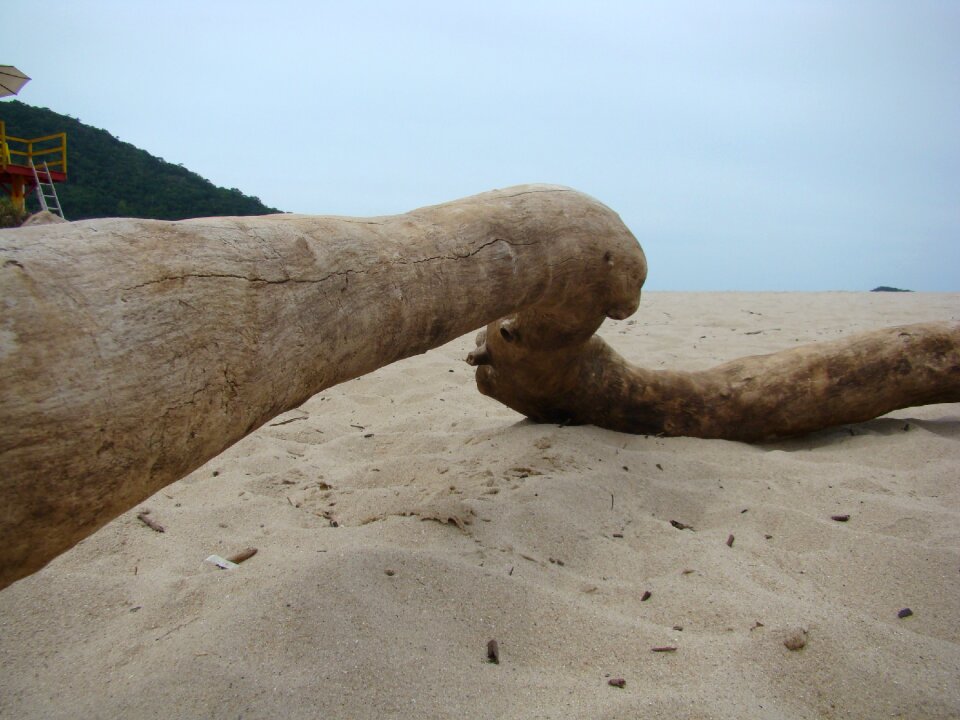 Sand mar nature