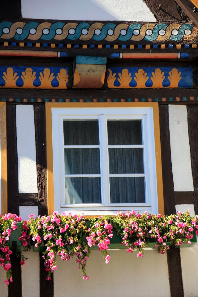 Building window flowers