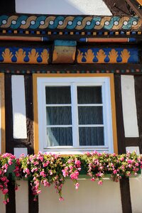 Building window flowers