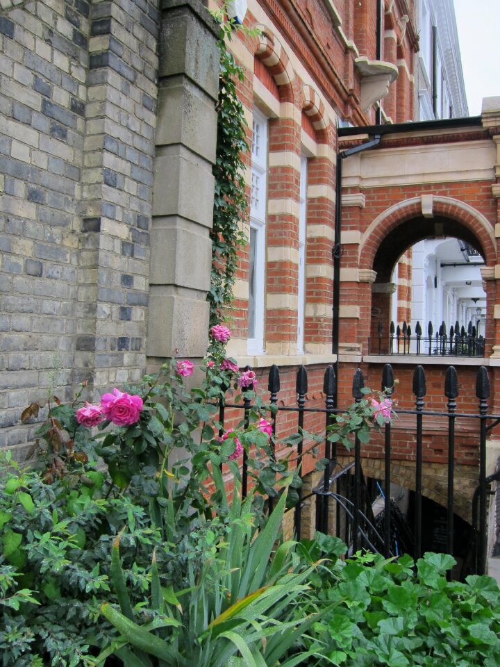 Row house garden building