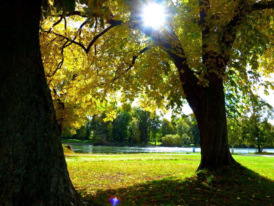 Autumn light sun golden photo