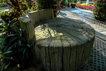 Seat log wood
