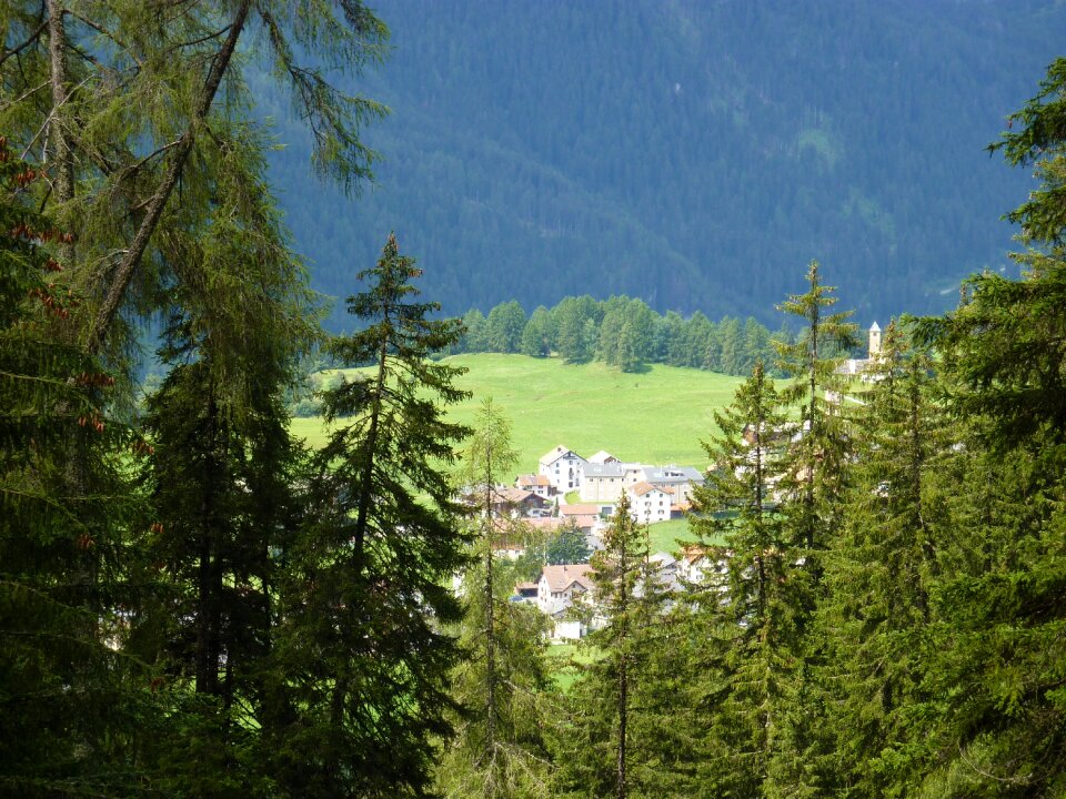 Landscape meadow bergdorf