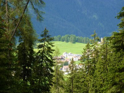 Landscape meadow bergdorf