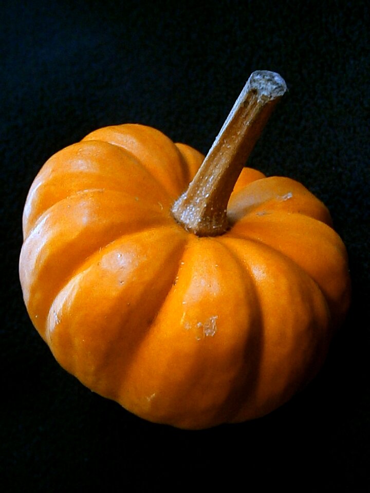 Decorative ribbed orange
