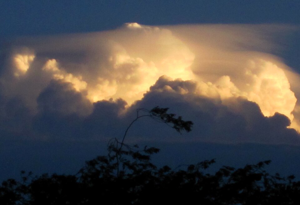 Bulky lit up bright