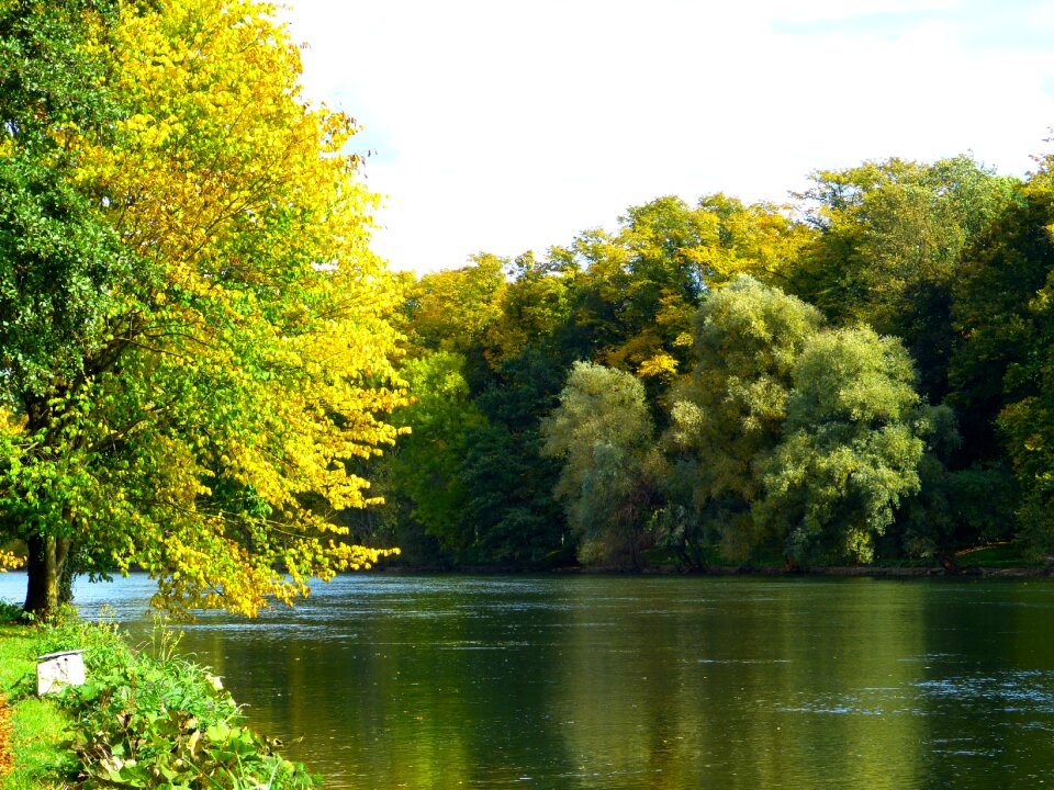 Autumn light sun golden photo