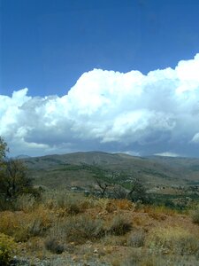 Selva marine enormous mountains