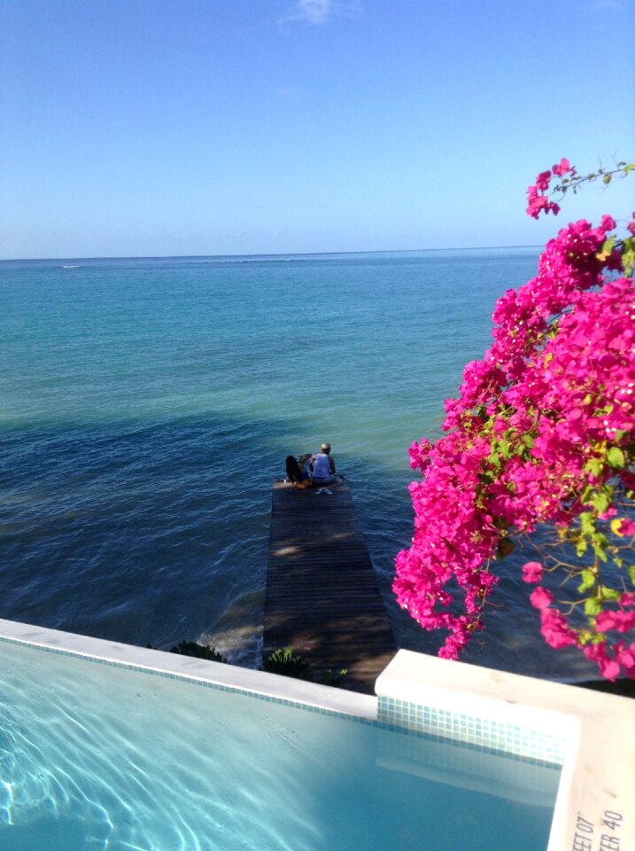 Jetty flowers vacation