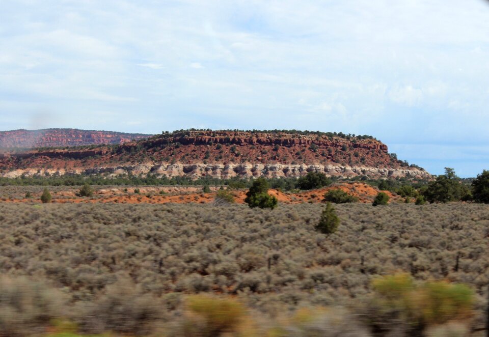 Desert arizona landscape
