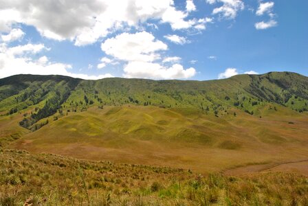 Java indonesia savana photo