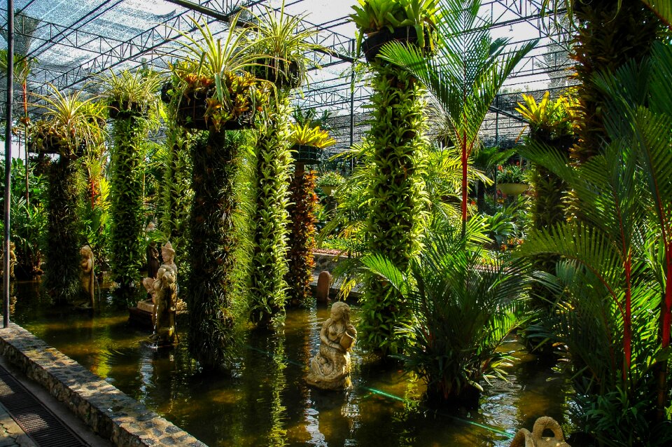 Botanical garden plant water