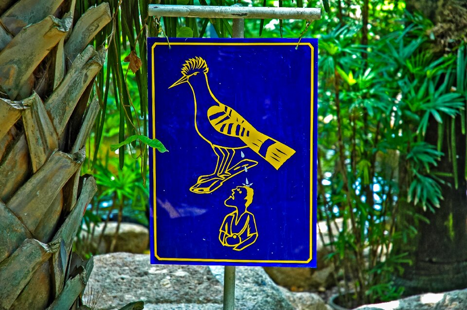 Warnschild note bird