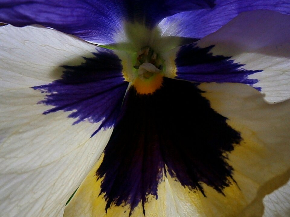Depth nature blue