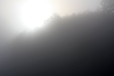 Morning sun veil foggy photo