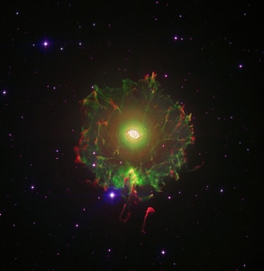 Constellation dragon starry sky space