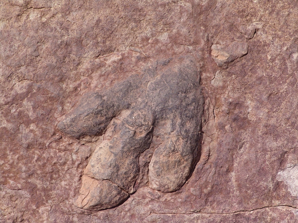Sandstone foot relic