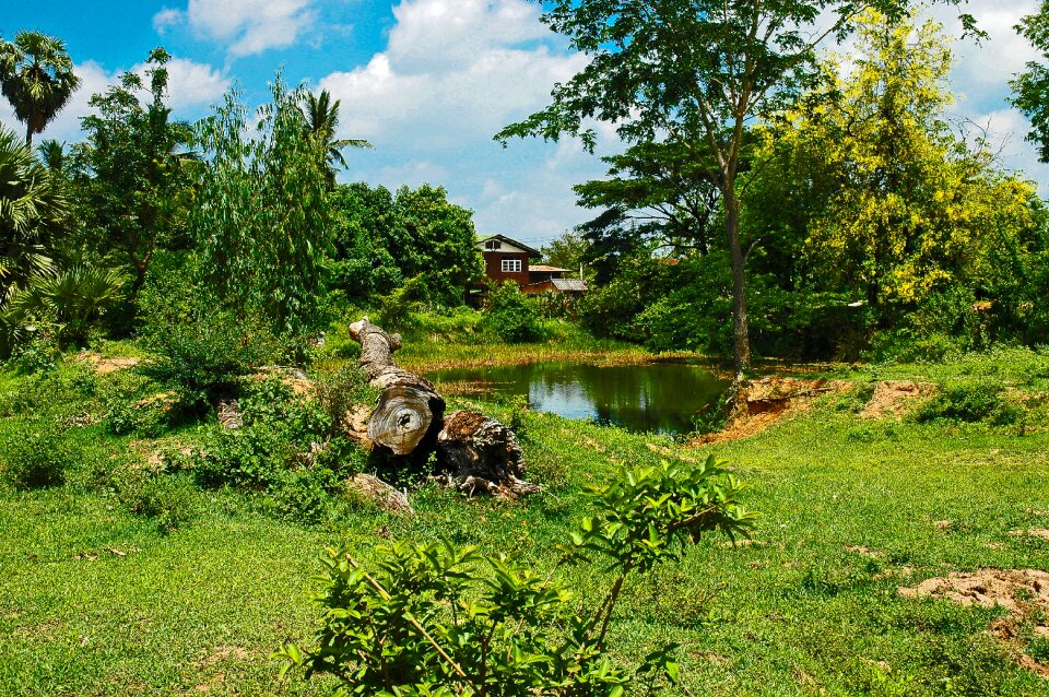 House pond thailand