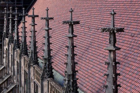 Roof gothic southern side ship