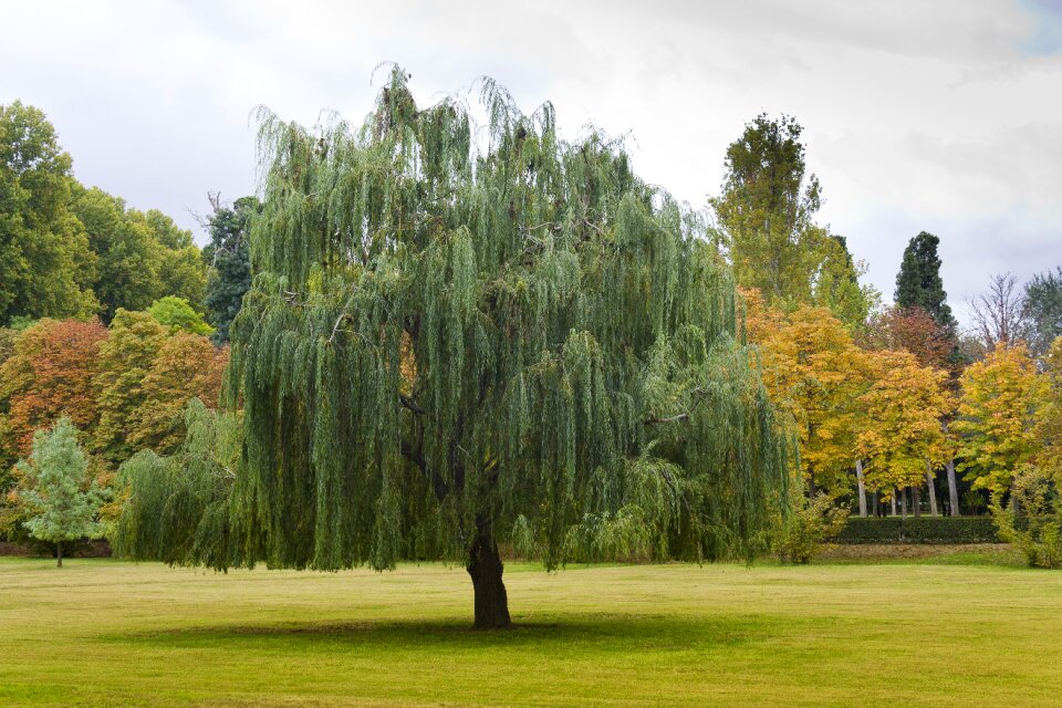 Unesco landscape garden of the prince