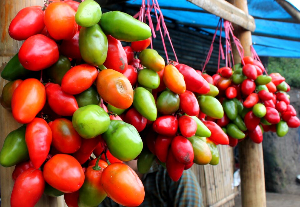 Red nature agriculture