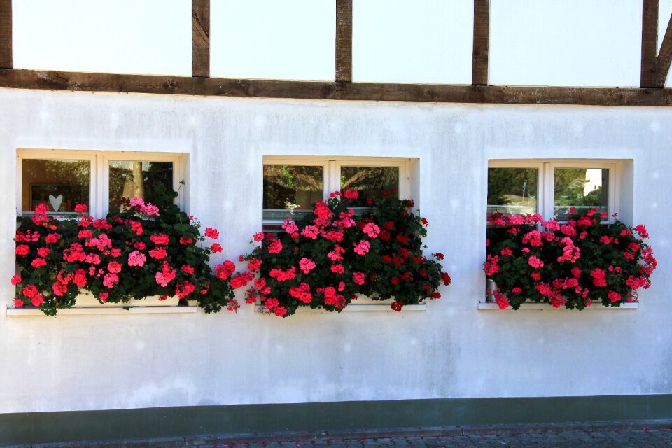 Flower truss fachwerkhaus