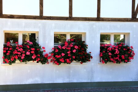 Flower truss fachwerkhaus