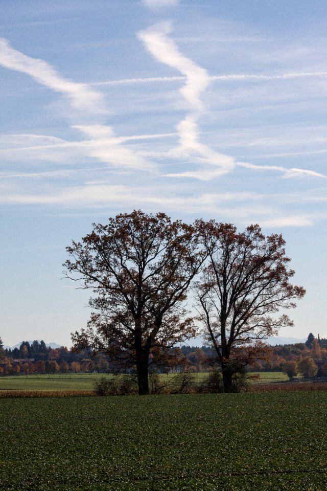 Cultivation hair dryer contrail