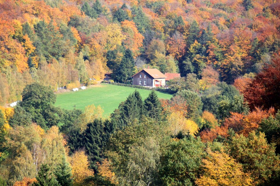 Deciduous forest house landschaftm