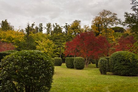 Landscape unesco garden of the prince