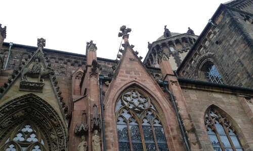 Worms dom partial view