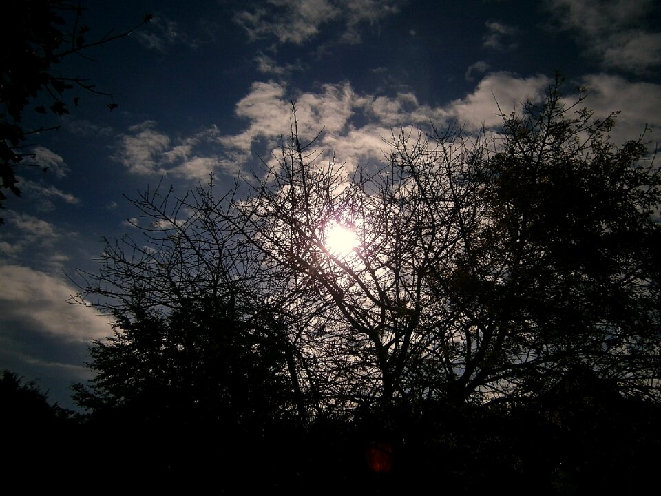 In the lens silhouette mood