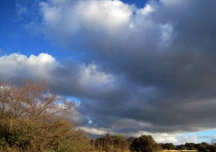 Dark brush sky
