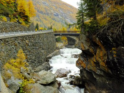 Gran paradiso national park autumn